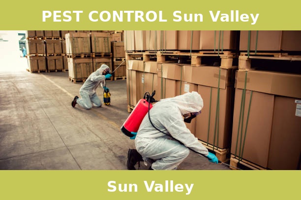 PEST CONTROL Sun Valley